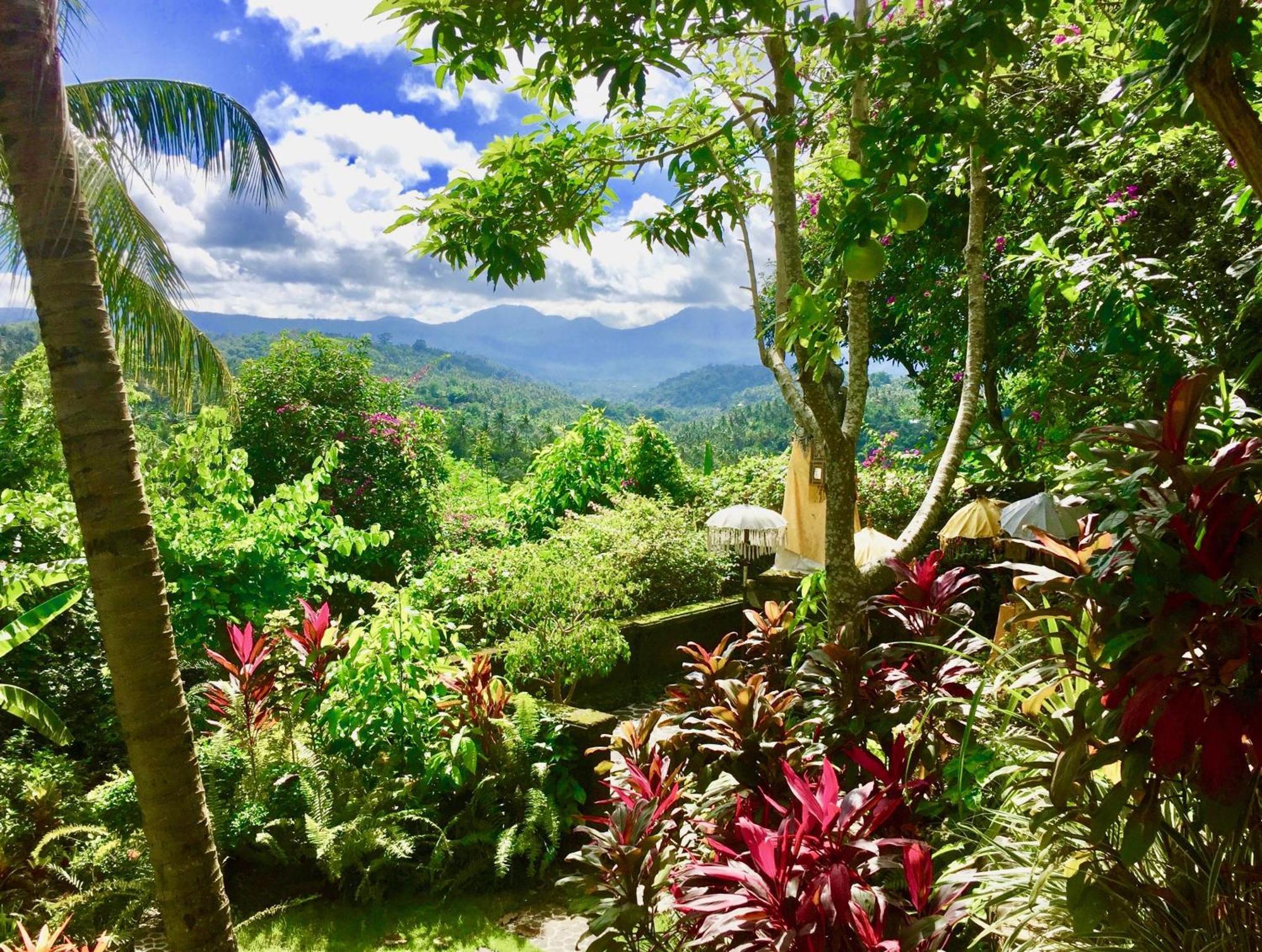 Gunung Paradis Retreat Munduk  Exterior photo